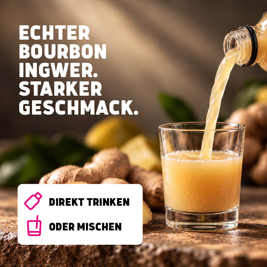 Bio-Ingwer Shot 12 x 60ml