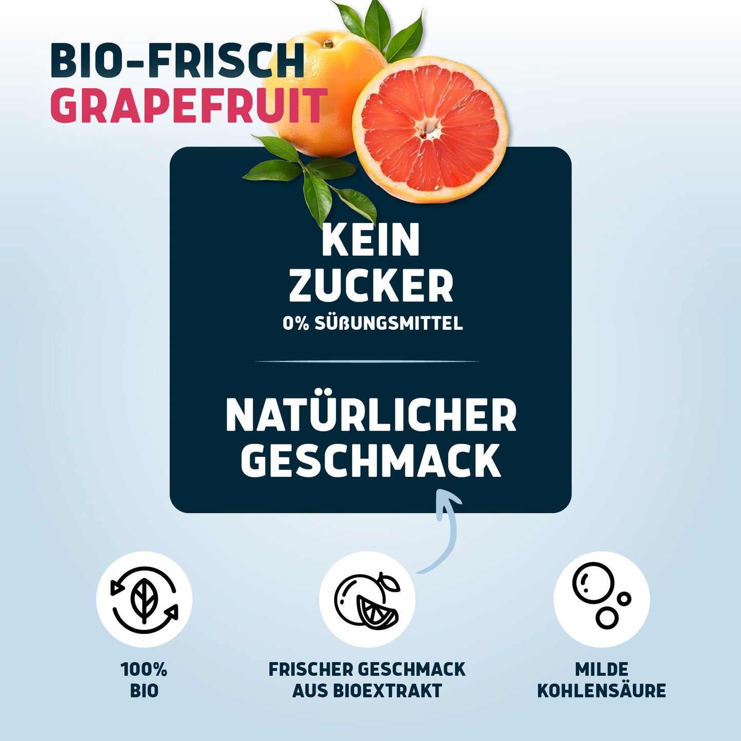 Bio-Frisch Grapefruit 6 x 0,75l