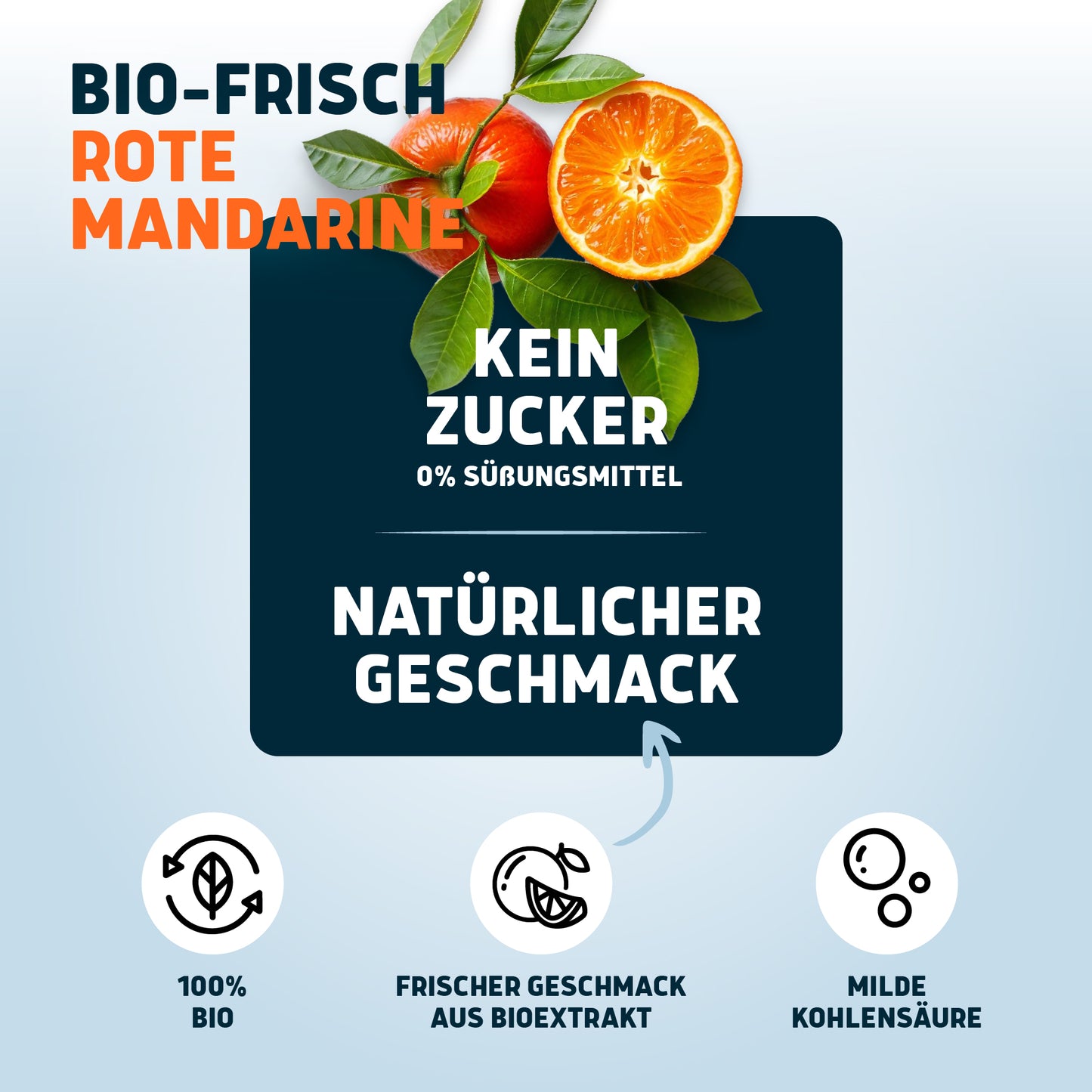 Probiermix Bio-Frischegetränke 6 x 0,75l