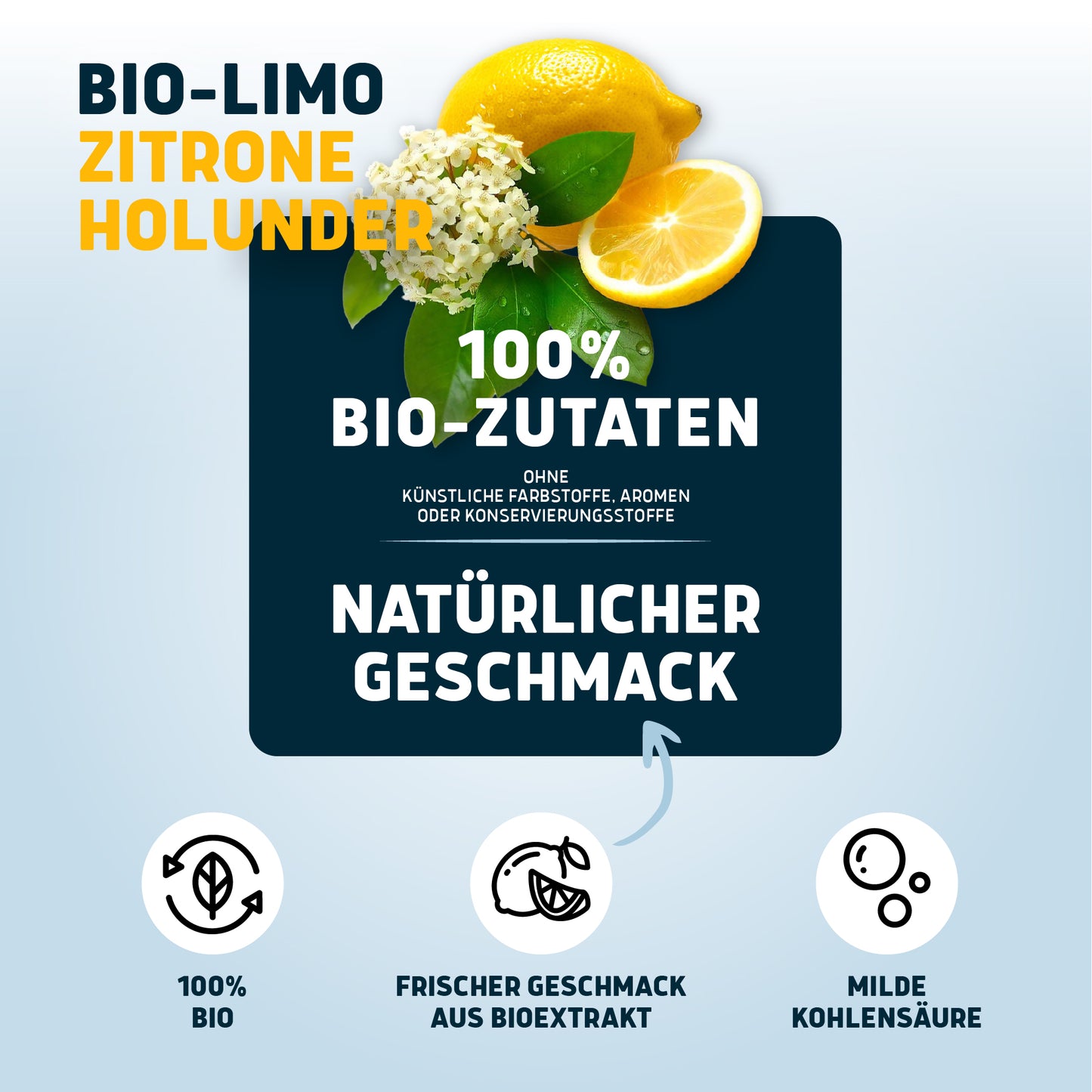 Probiermix Bio-Limo 6 x 0,75l