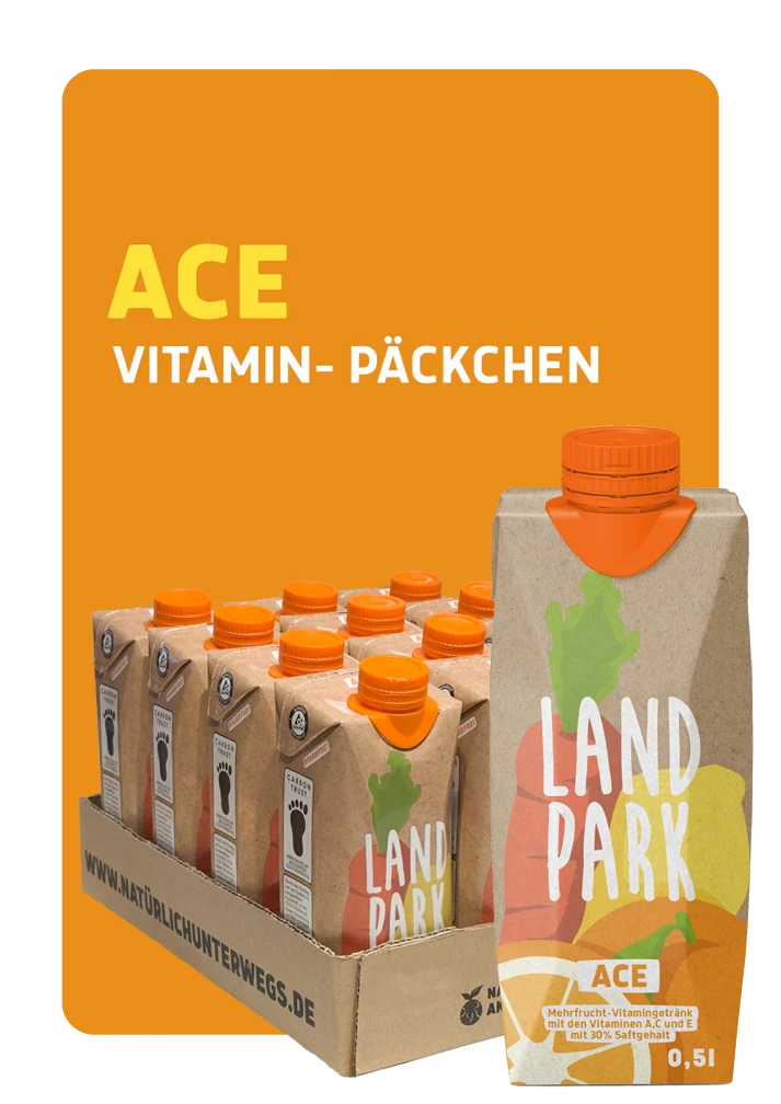 Vitamin-Päckchen ACE-Saft - 12 x 0,5l