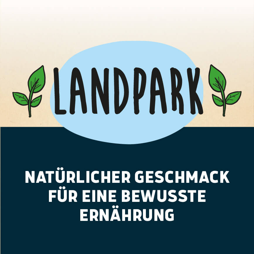 Bio-Päckchen Zitrone Holunder 12 x 0,5l