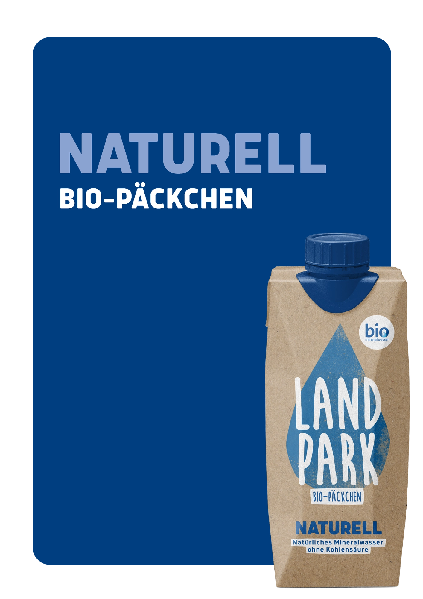 Bio-Päckchen Naturell 12 x 0,5l