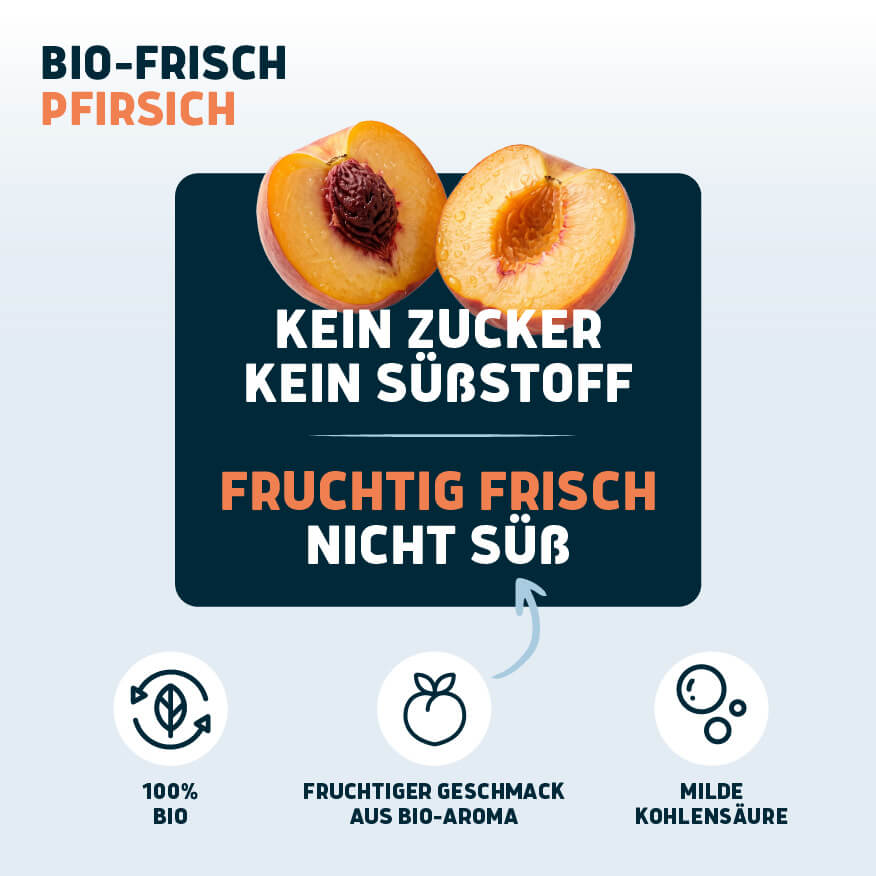 Bio-Frisch Pfirsich 6 x 0,75l