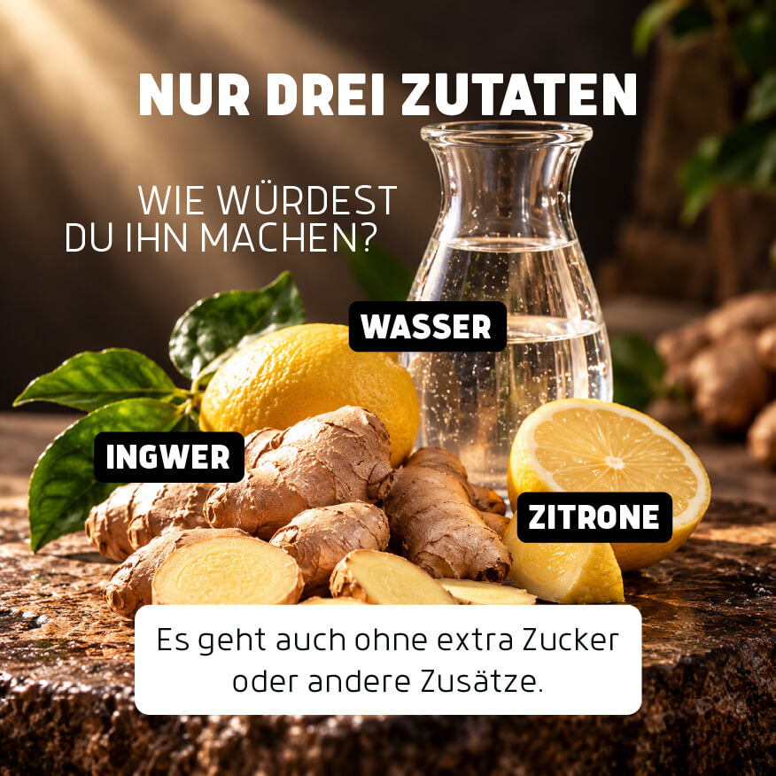Bio-Ingwer Shot 12 x 60ml