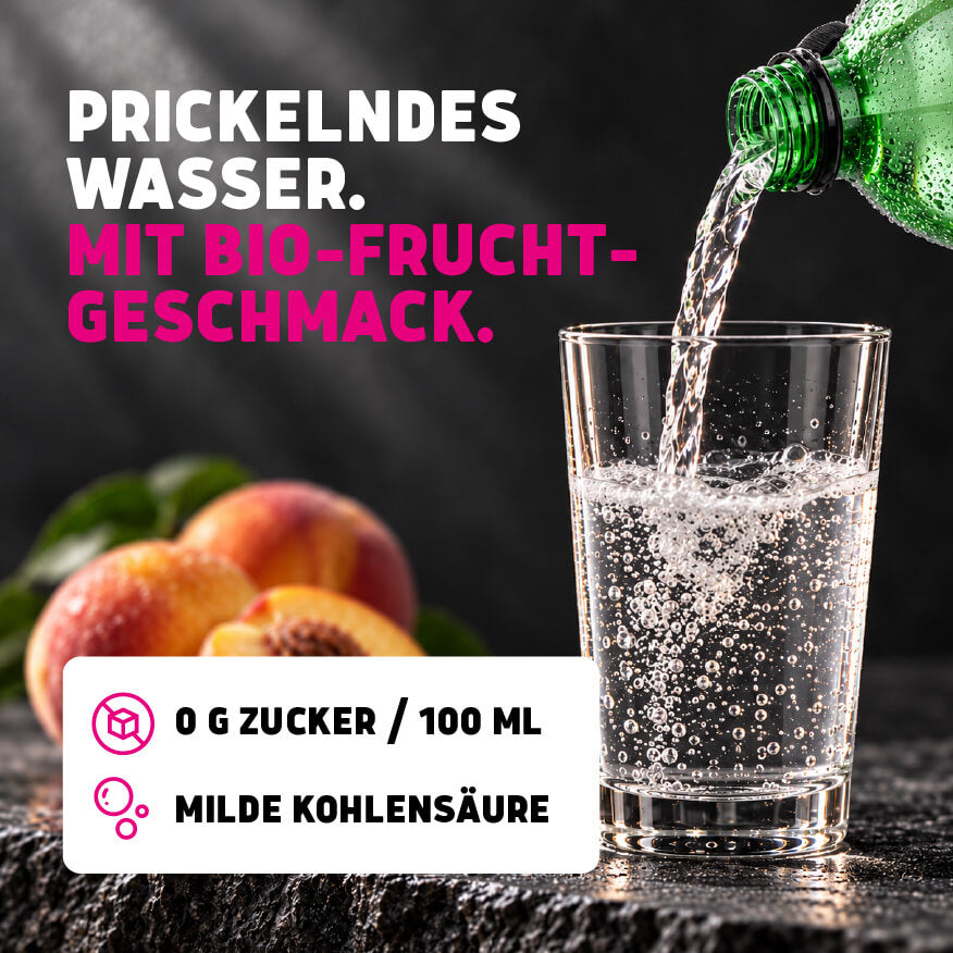 Probiermix Bio-Frischegetränke PET 6 x 1,0 L