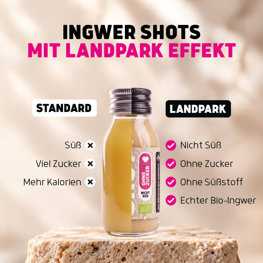 Bio-Ingwer Shot 12 x 60ml