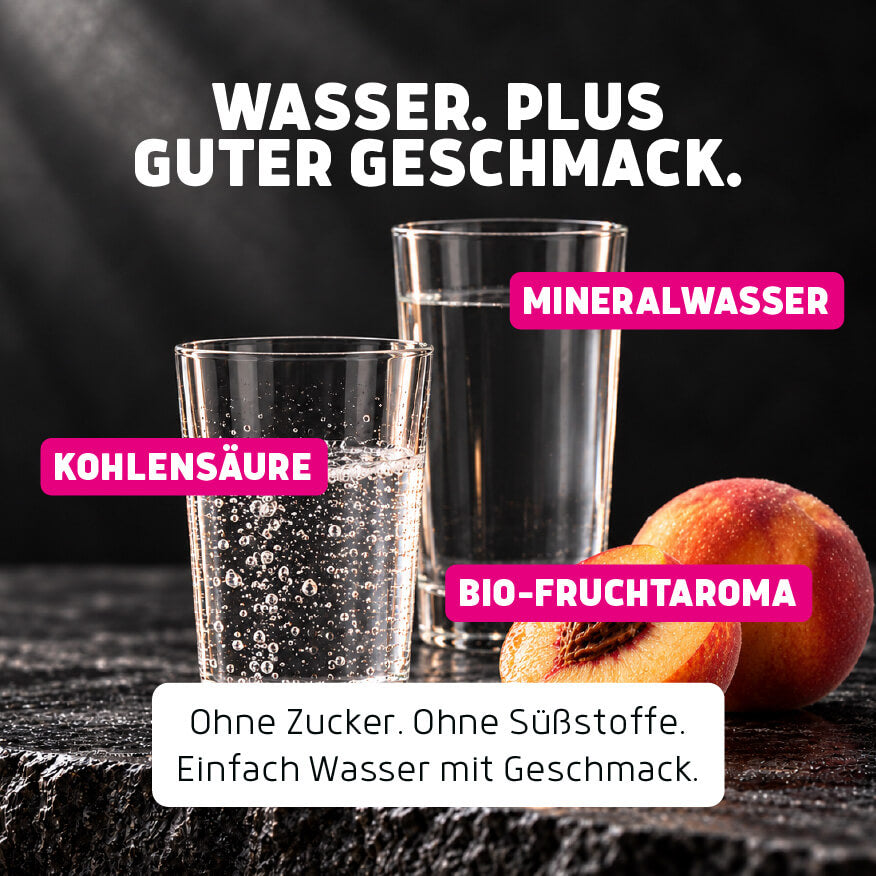 Probiermix Bio-Frischegetränke PET 6 x 1,0 L