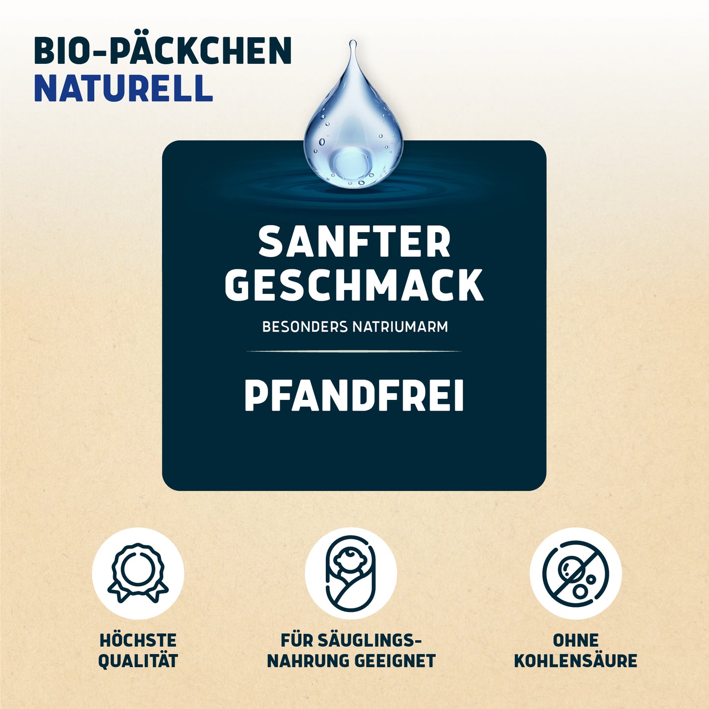 Bio-Päckchen Naturell 12 x 0,5l