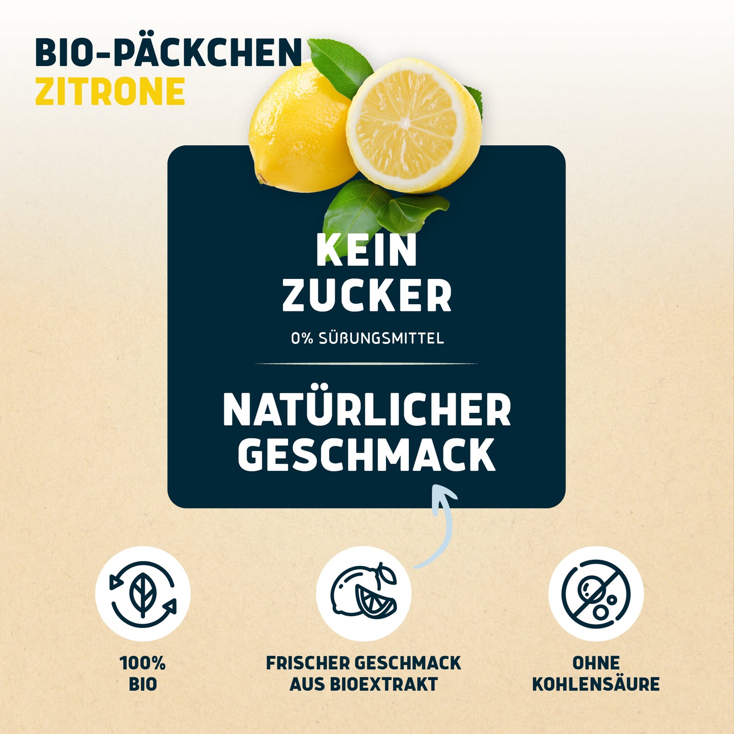 Bio-Päckchen Zitrone 12 x 0,5l