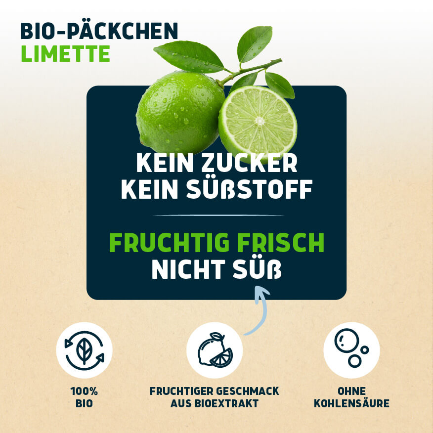 Bio-Päckchen Limette 12 x 0,5l