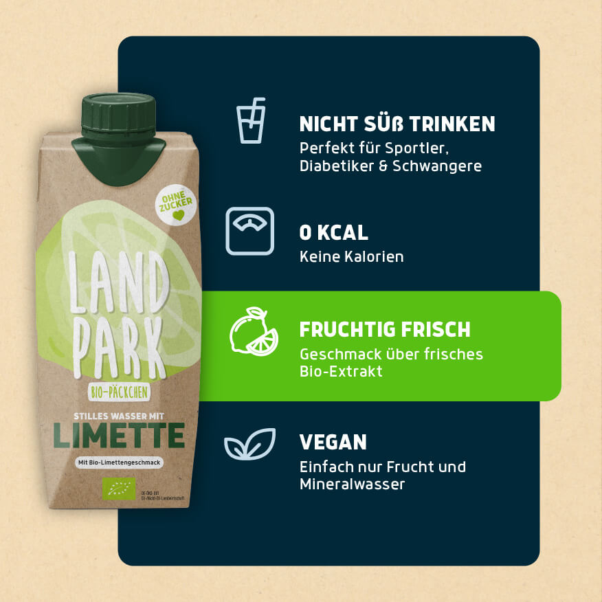 Bio-Päckchen Limette 12 x 0,5l