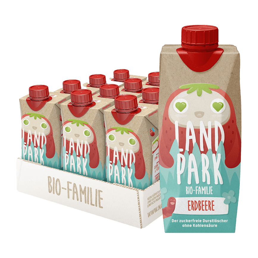 Bio-Familie Erdbeere 12 x 0,5l