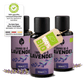 Bio-Lavendel Öl