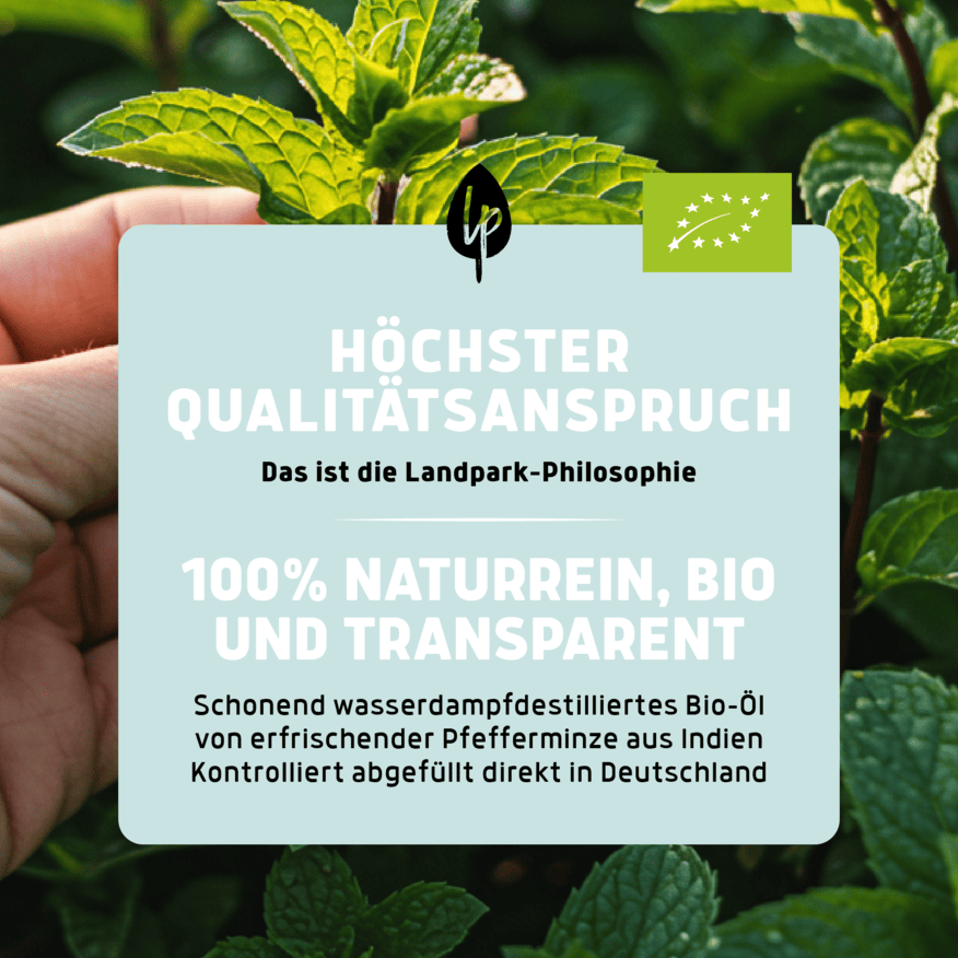 Bio-Pfefferminz Öl