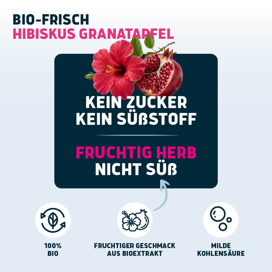 Bio-Frisch Hibiskus Granatapfel 6 x 1,0 L