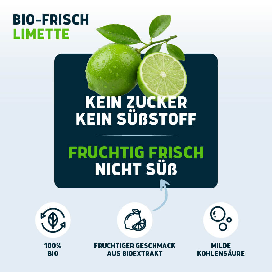 Bio-Frisch Limette 6 x 1,0 L
