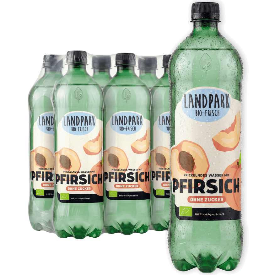Bio-Frisch Pfirsich 6 x 1,0 L